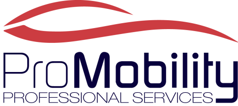 ProMobility — Professional Services